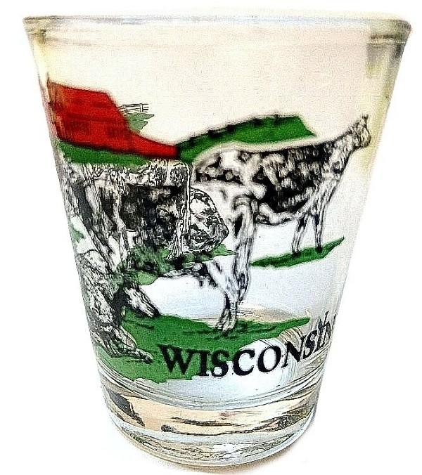 signs 4 fun Wisconsin Shot Glass