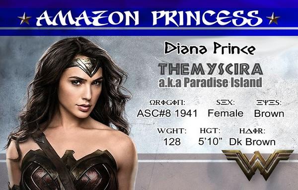 signs 4 fun Wonder Woman ID