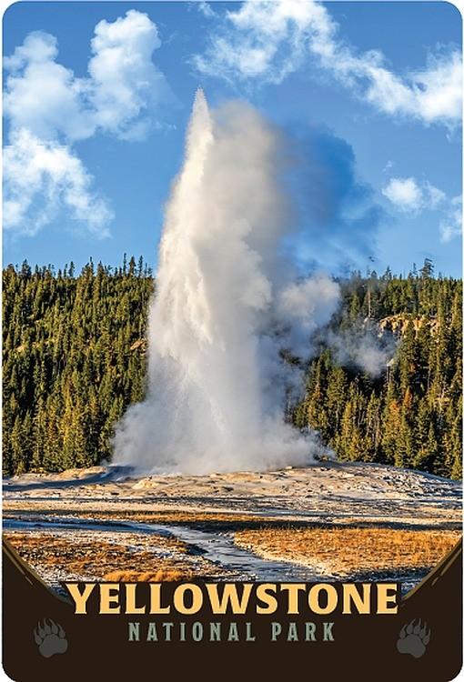 signs 4 fun Yellowstone Geyser Postcard
