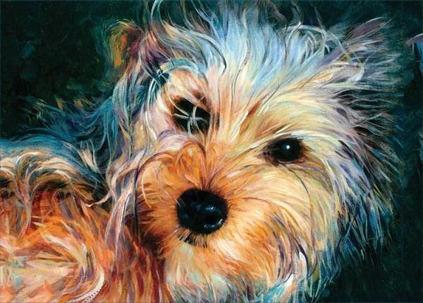 signs 4 fun Yorkshire Terrier Magnet