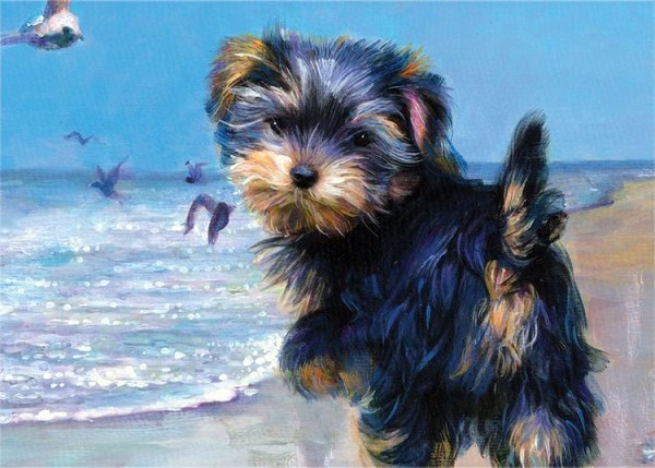 signs 4 fun Yorkshire Terrier On Beach Magnet