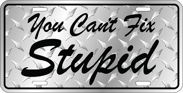 signs 4 fun You Can't Fix Stupid License Plate