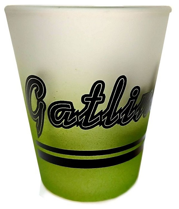 signs 4 fun Tennessee Gatlinburg Frosted Shot Glass