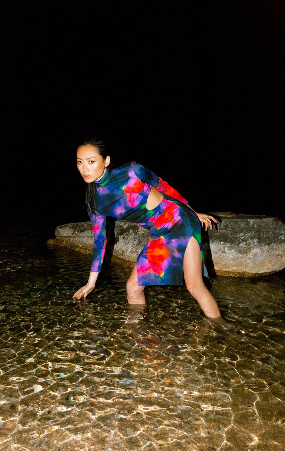 Silvia Astore Freia Dress Print Ink Multicolor Lycra