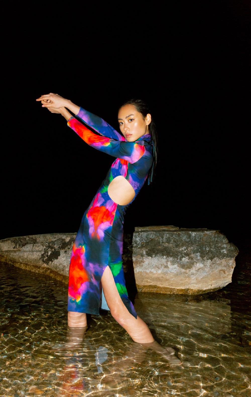 Silvia Astore Freia Dress Print Ink Multicolor Lycra