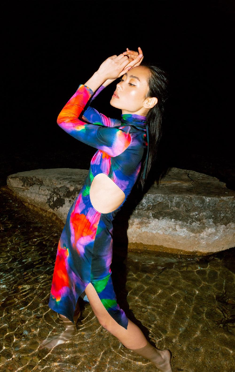 silvia astore Freia Dress Print Ink multicolor Lycra