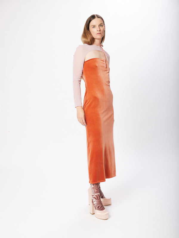 Simone Wild Velvet Dress Daisy Amber