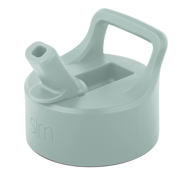 simple modern Summit Water Bottle Straw Lid