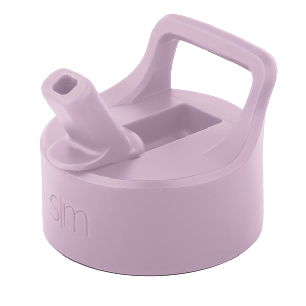 simple modern Summit Water Bottle Straw Lid