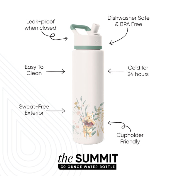 Simple Modern Summit Water Bottle With Straw Lid