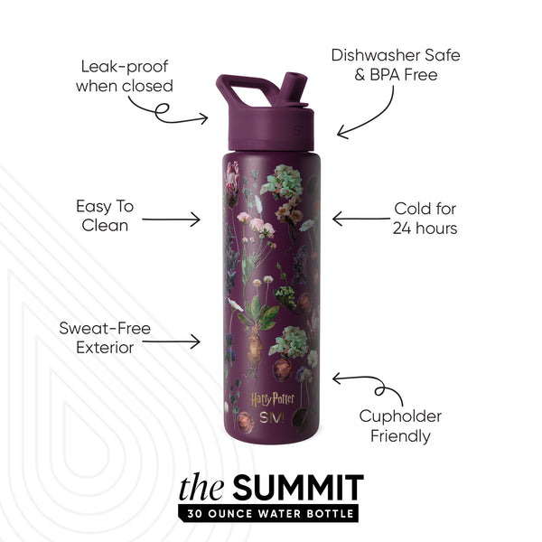 Simple Modern Summit Water Bottle With Straw Lid