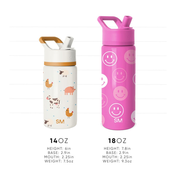 Simple Modern Summit Water Bottle With Straw Lid