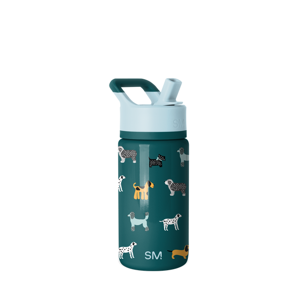 simple modern Summit Kids Water Bottle with Straw Lid