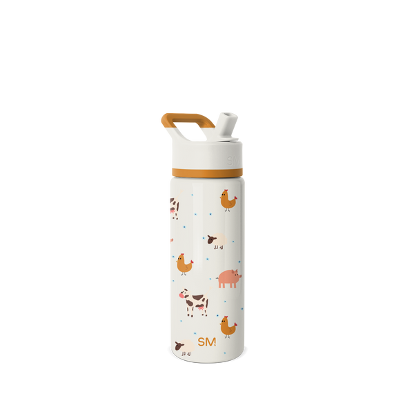 simple modern Summit Kids Water Bottle with Straw Lid