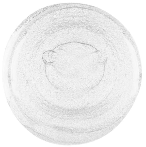 Sinful Colors TOKYO PEARL SinfulColors Nail Polish