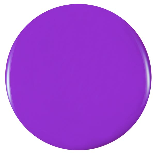 Sinful Colors VIOLET RIOT SinfulColors Nail Polish