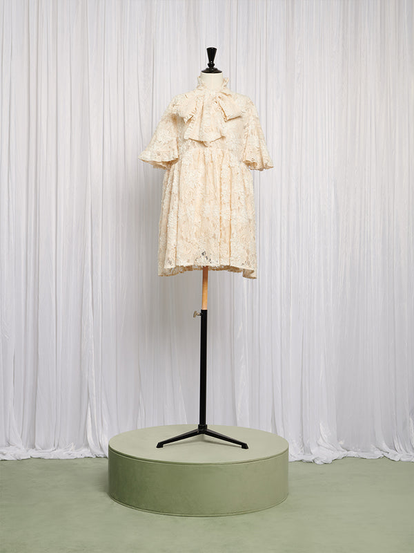 Sister Jane Romance Lace Mini Dress