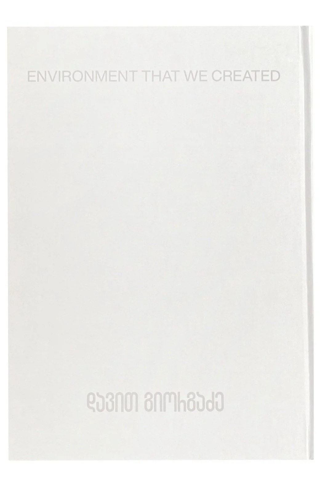 Situationist "Environment That We Created " By Davit Giorgadze