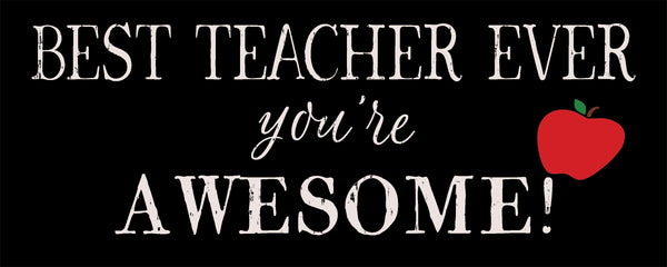 sixtrees Best Teacher Ever You're Awesome - 4X10 Box Sign