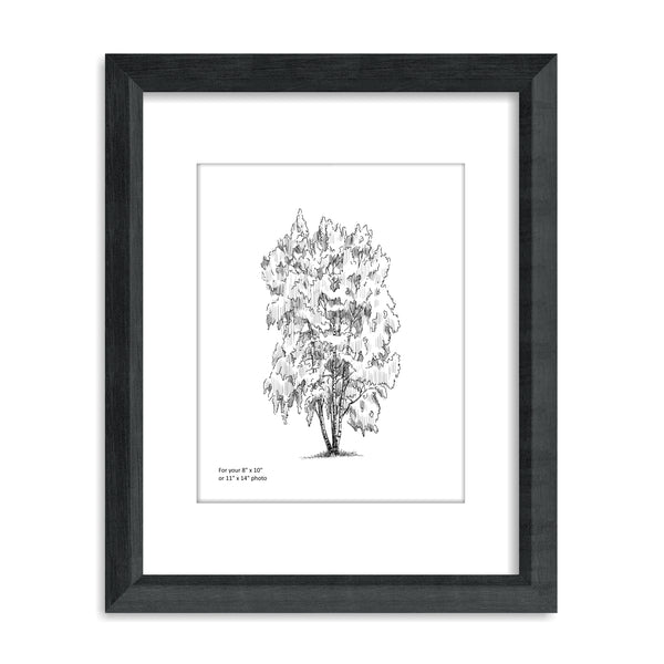Sixtrees Lannister Matted Picture Frame - 11X14 16X20 24X24 Black White Grey
