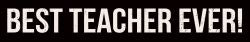 Sixtrees Best Teacher Ever - 2.5X15 Box Sign
