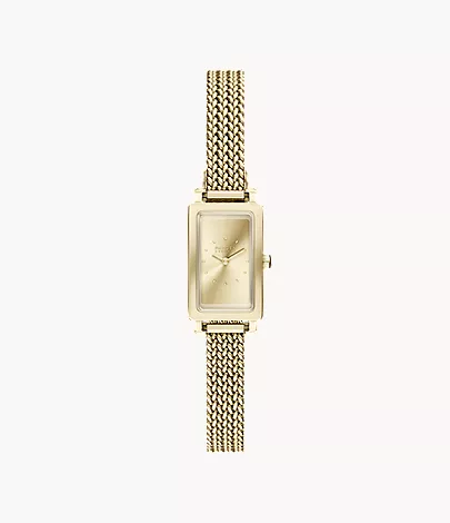 skagen Hagen Micro Two-Hand Gold Stainless Steel Watch