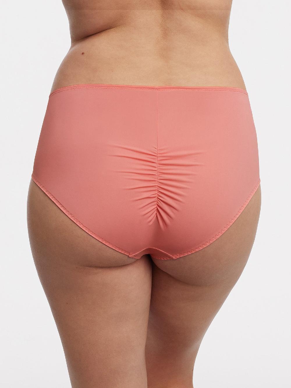 Skarlett Blue Entice Full Coverage Lace Brief Geranium/Cashmere