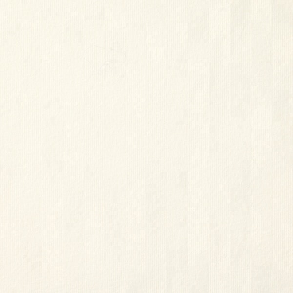 Skims COTTON JERSEY SCOOP NECK T-SHIRT