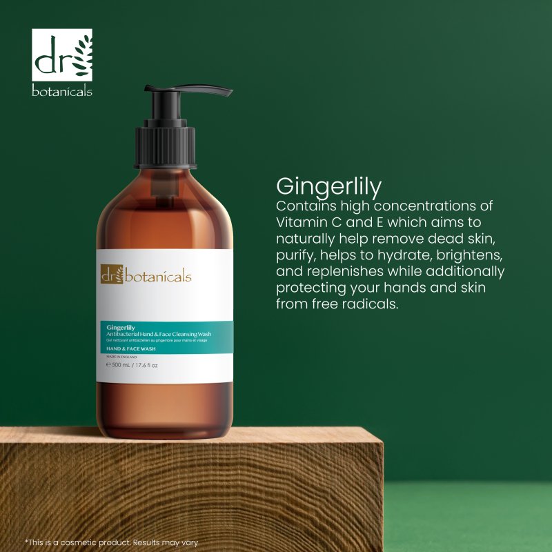 Skin Chemist Gingerlily Antibacterial Hand & Face Cleansing Wash 500ml