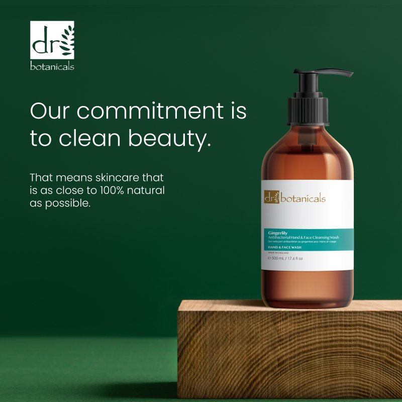Skin Chemist Gingerlily Antibacterial Hand & Face Cleansing Wash 500ml