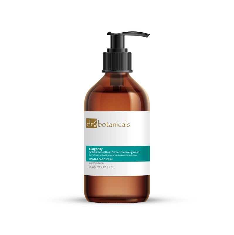 skin chemist Gingerlily Antibacterial Hand & Face Cleansing Wash 500ml