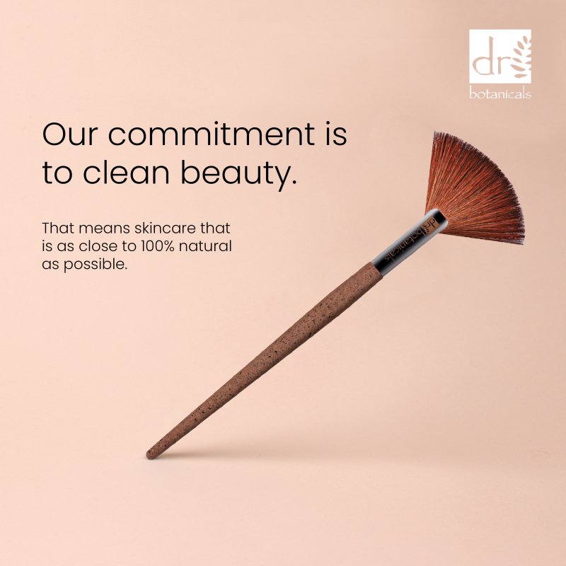 Skin Chemist Coffee Ground Fan Brush