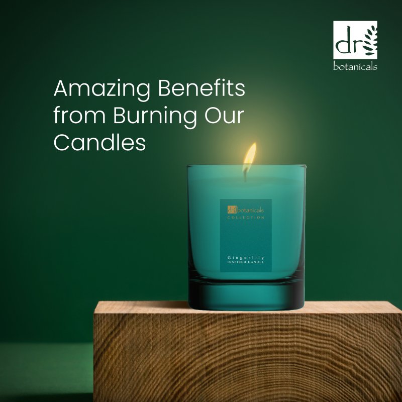 Skin Chemist Gingerlily Inspired Candle 200g