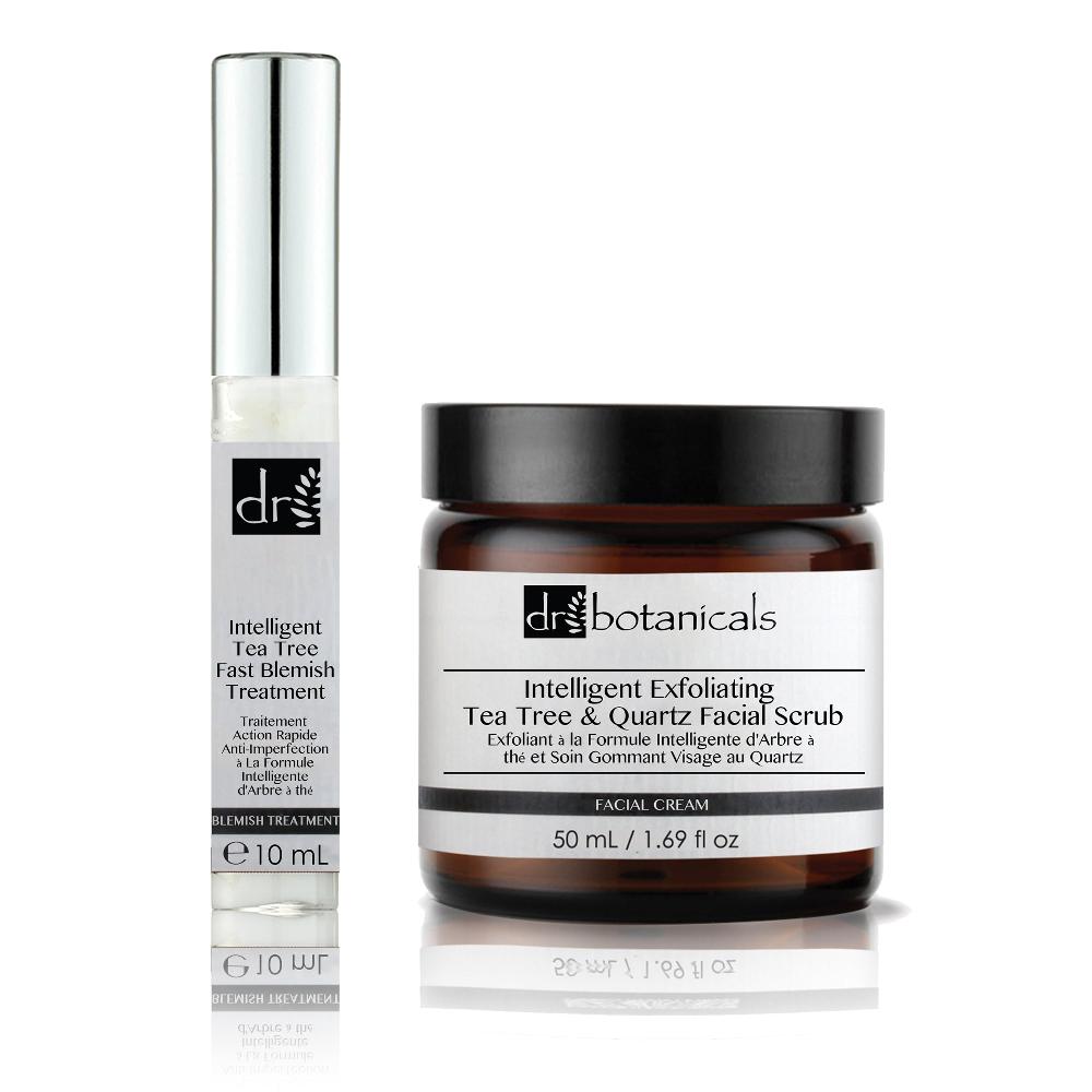 skin chemist Tea Tree Blemish Duo Kit