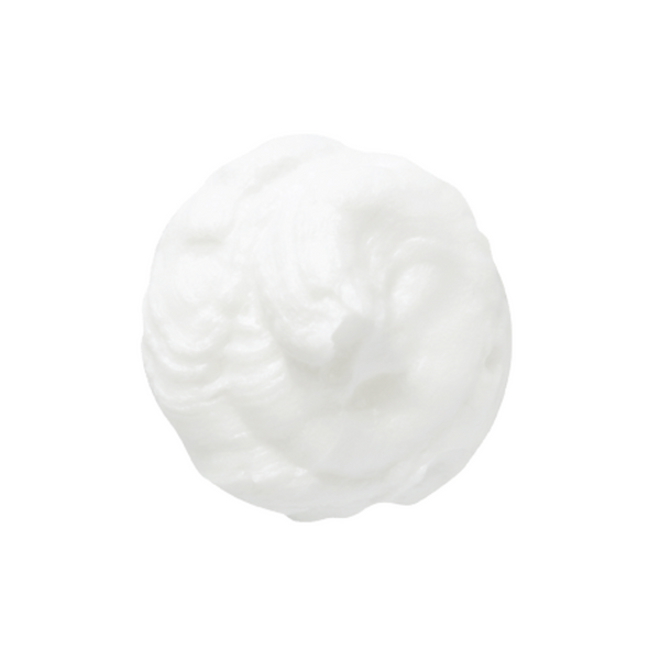 Skinfood Vege Garden Cleansing Foam Mugwort