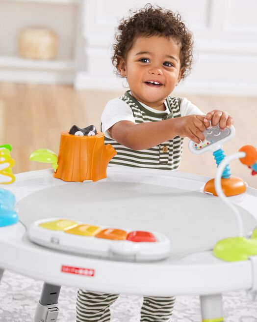 Skip Hop Explore & More Baby's View 3-Stage Activity Center