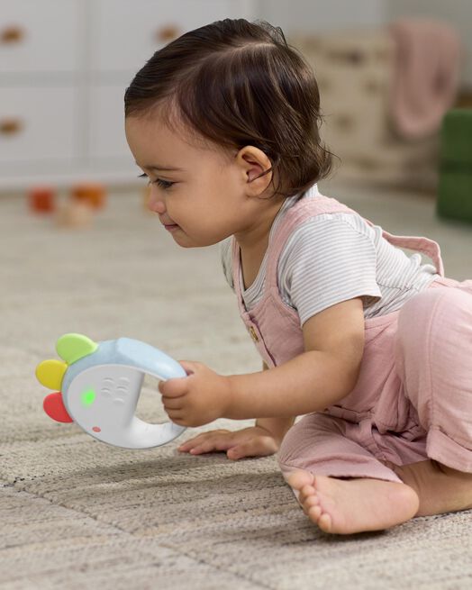 Skip Hop Farmstand Feelin' Clucky Musical Tambourine Baby Toy