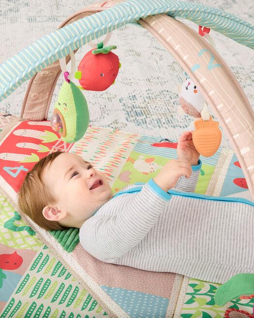 Skip Hop Farmstand Grow & Play Activity Gym
