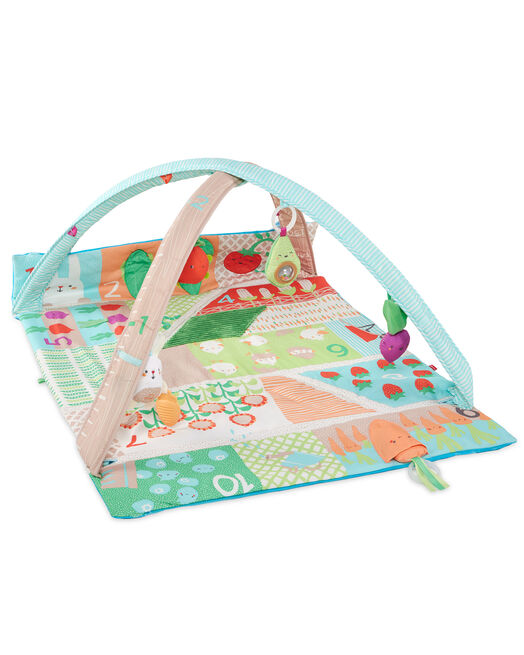 skip hop Farmstand Grow & Play Activity Gym