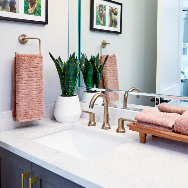 Skl Home CloudSoft Cotton Luxury 4-Piece Washcloth Set Clay