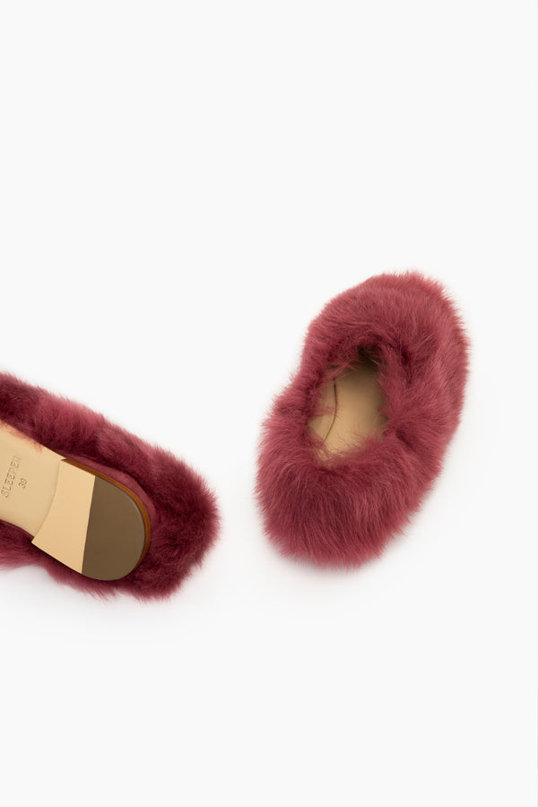 Sleeper Kiwi Kiwi Shearling Ballet Flats In Burgundy