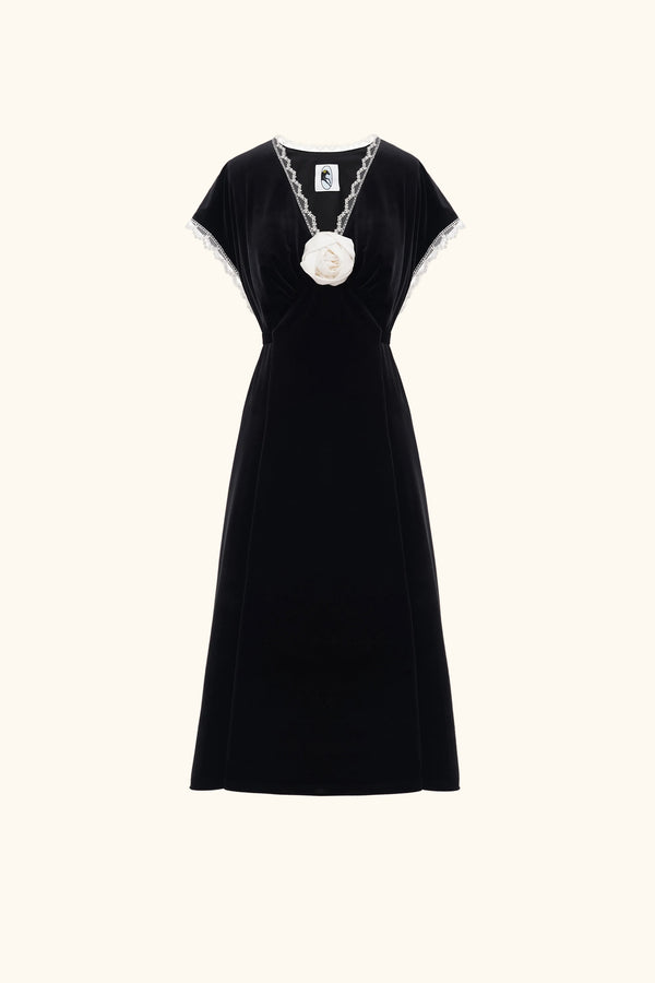 Sleeper The Genus Rosa Velvet Dress In Black