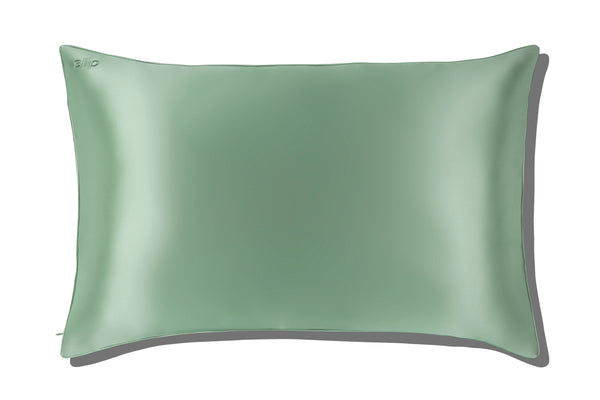 Slip Pistachio Queen Zippered Pillowcase