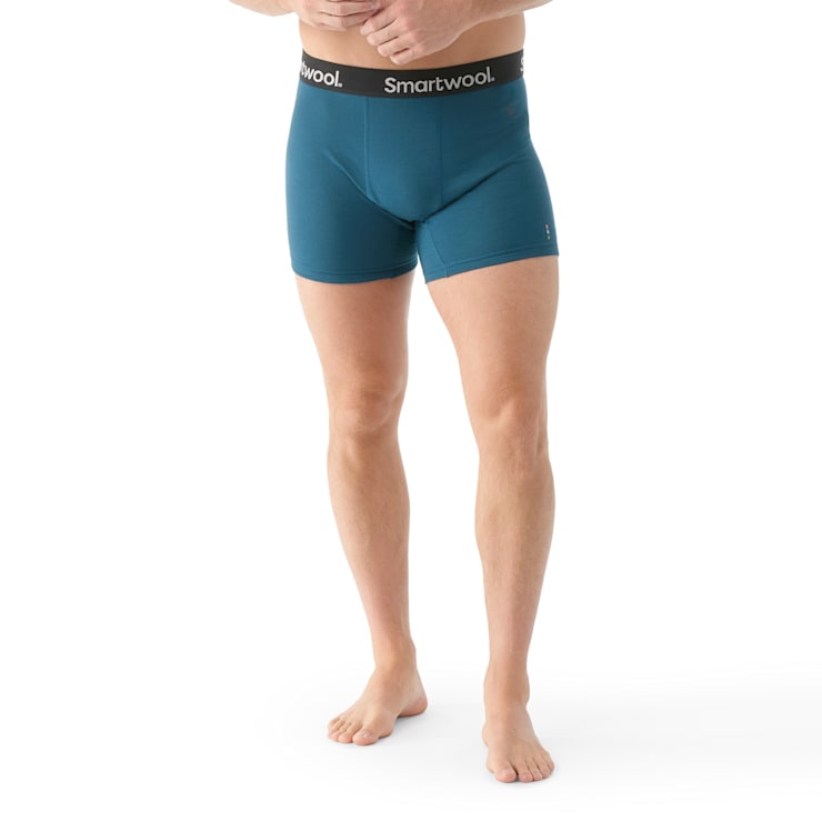 Smartwool Men's Active Boxer Brief 2-Pack