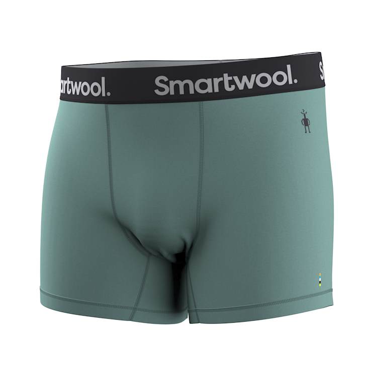 Smartwool Men's Active Boxer Brief