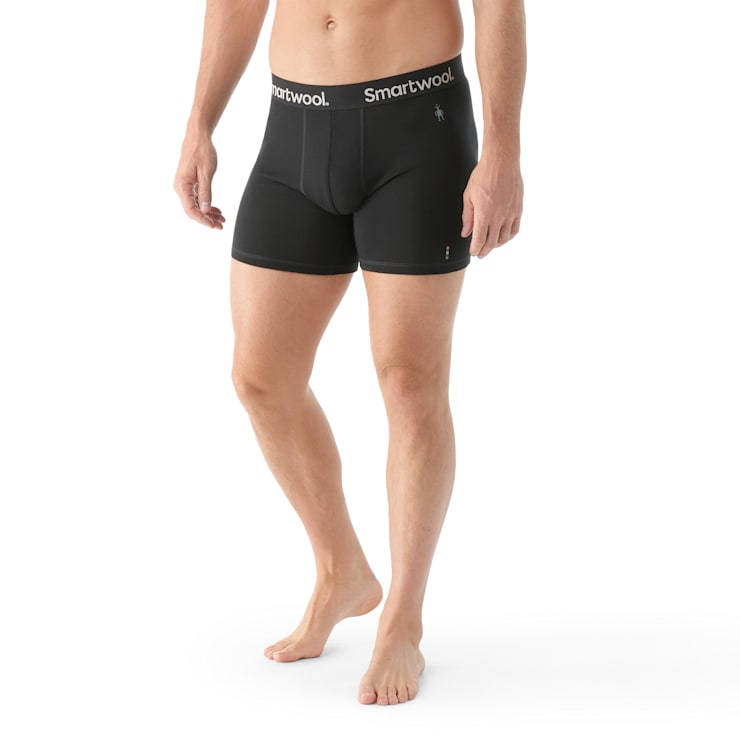 smartwool Men's Everyday Merino Boxer Brief Boxed