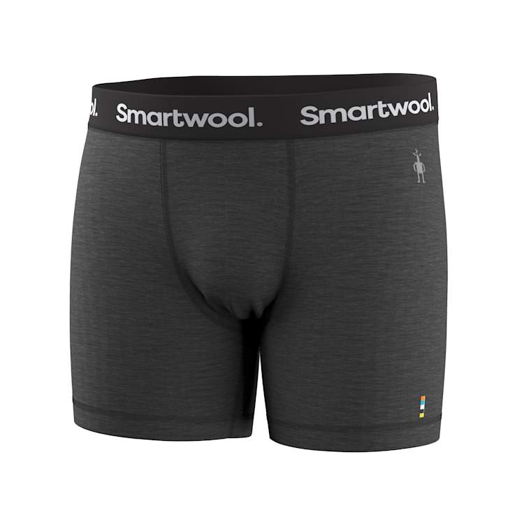 Smartwool Men's Everyday Merino Boxer Brief