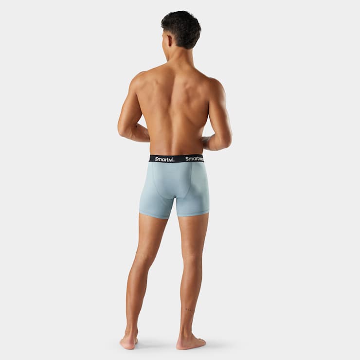Smartwool Men's Everyday Merino Boxer Brief