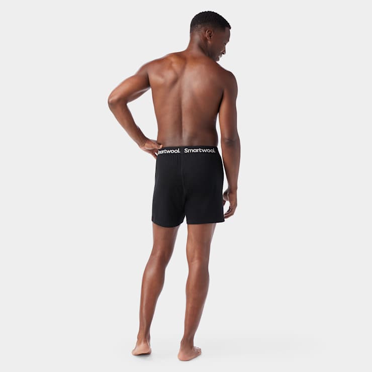 Smartwool Men's Merino Boxer 2-Pack