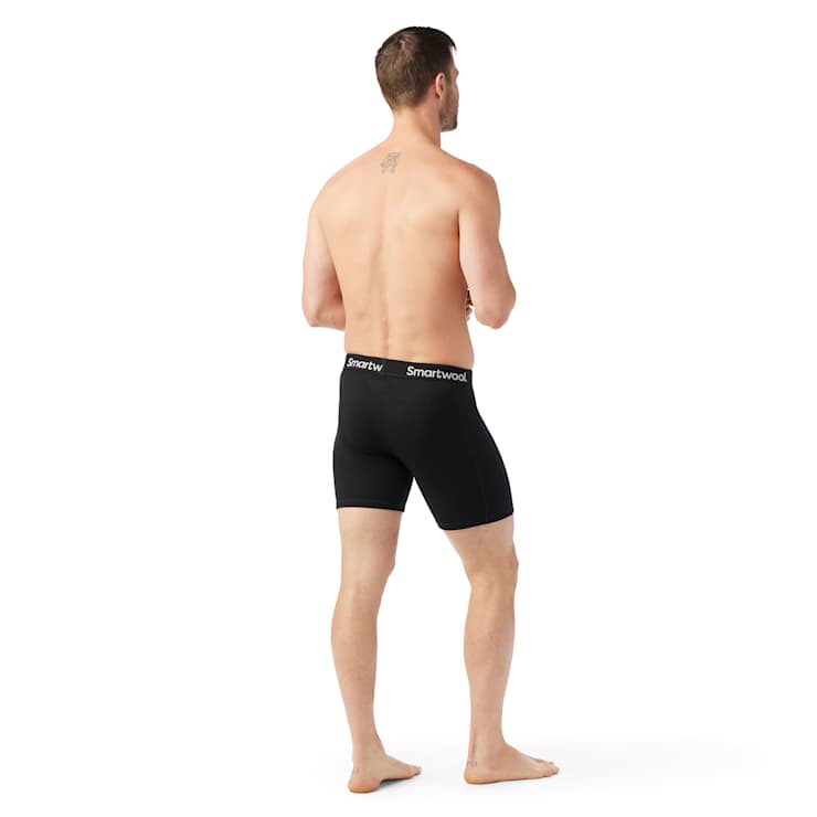Smartwool Men's Wind Boxer Brief
